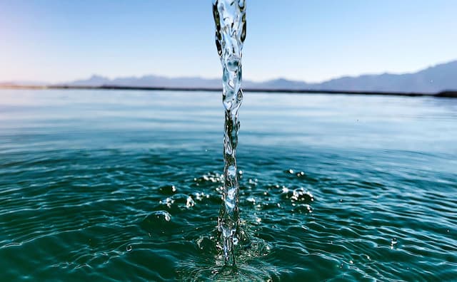 Smart watering with Rachio has saved 50 BILLION gallons of water image