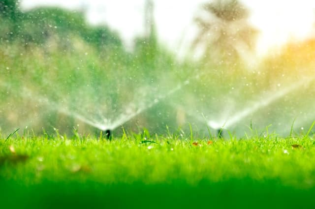 Lawn Smarts: Smart Watering image