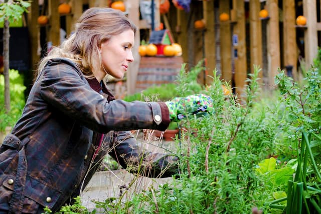 Tips to help keep your yard healthy this fall image