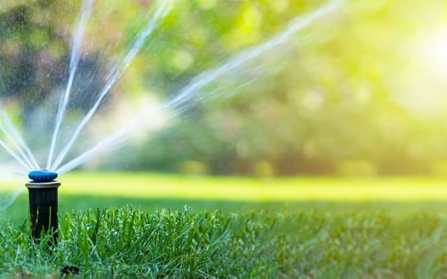Sprinkler head watering grass with sun