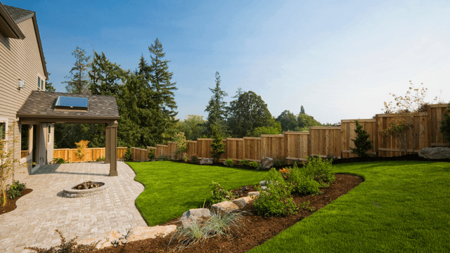 Image of lush green lawn