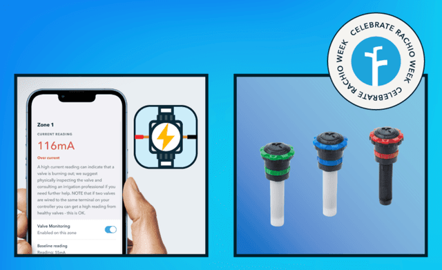 What Sets Rachio Apart image
