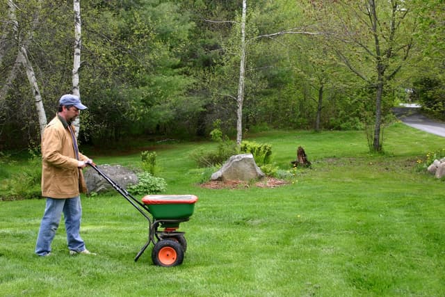 Lawn Smarts: Overseeding image