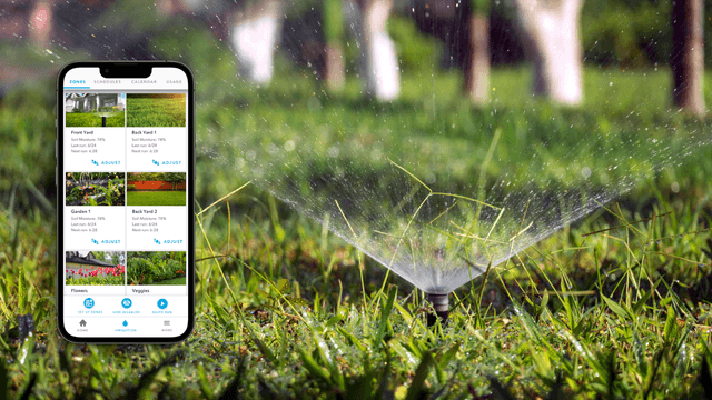 Sprinkler watering lawn with the Rachio app